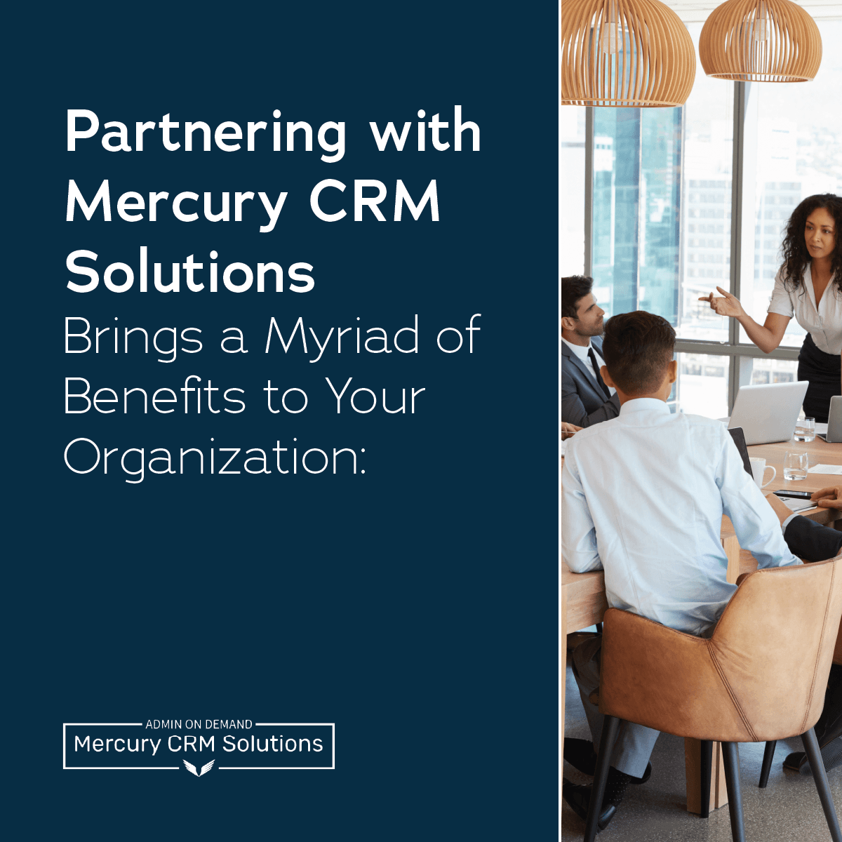Mercury CRM Solutions image 1