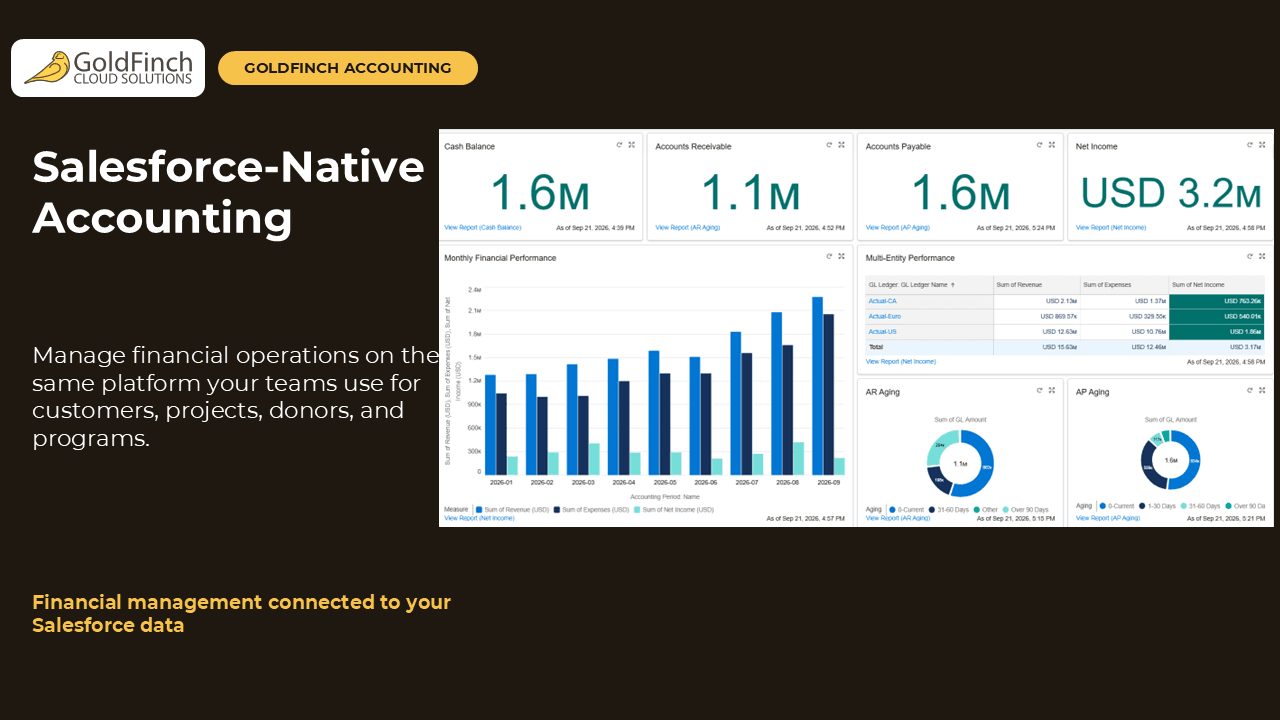 Financial dashboard with cash, receivables, payables, net income, and performance trends.