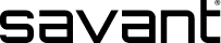 Savant International logo