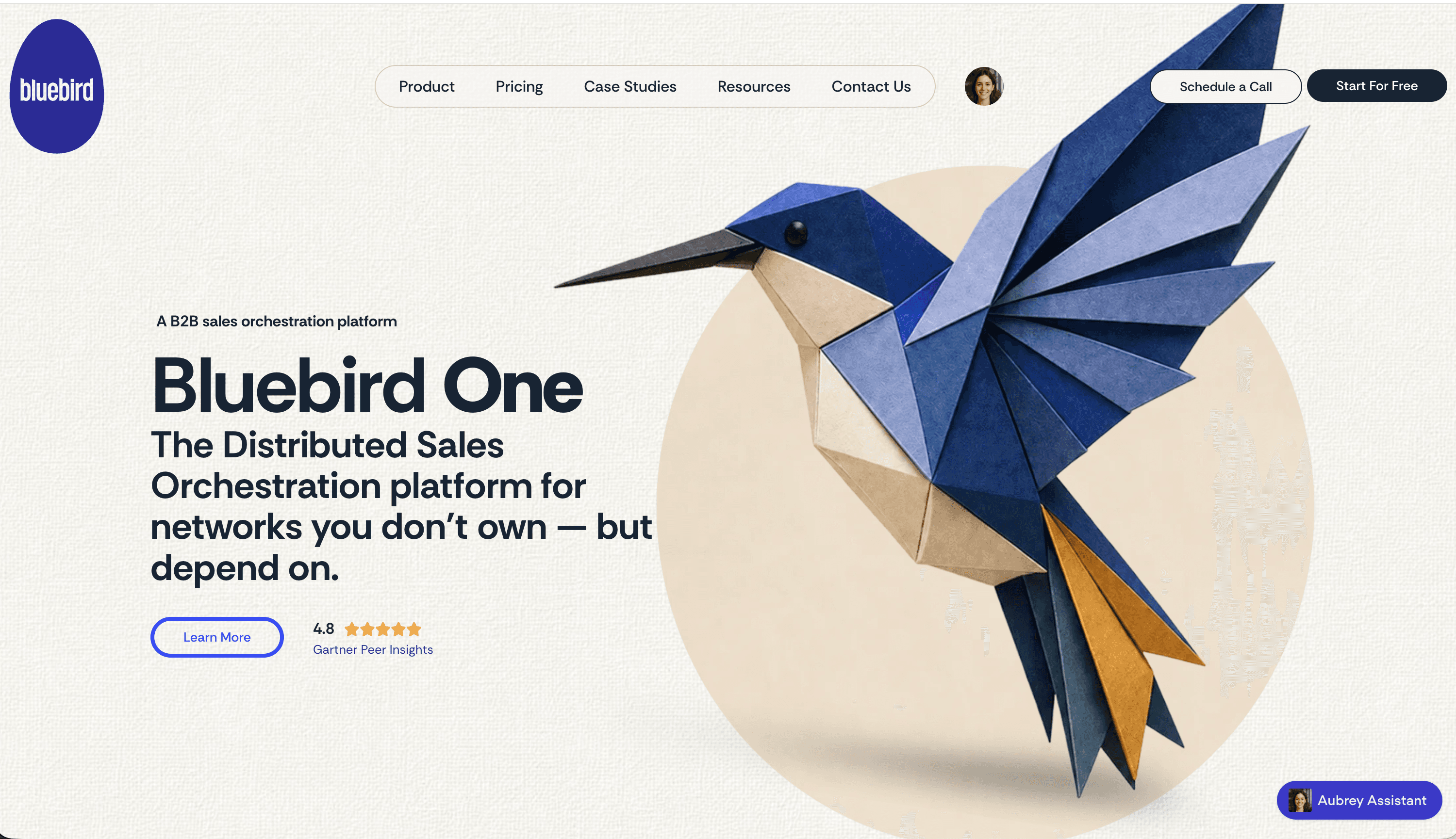 Bluebird.one - visit the site!
