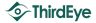 ThirdEye Consulting logo