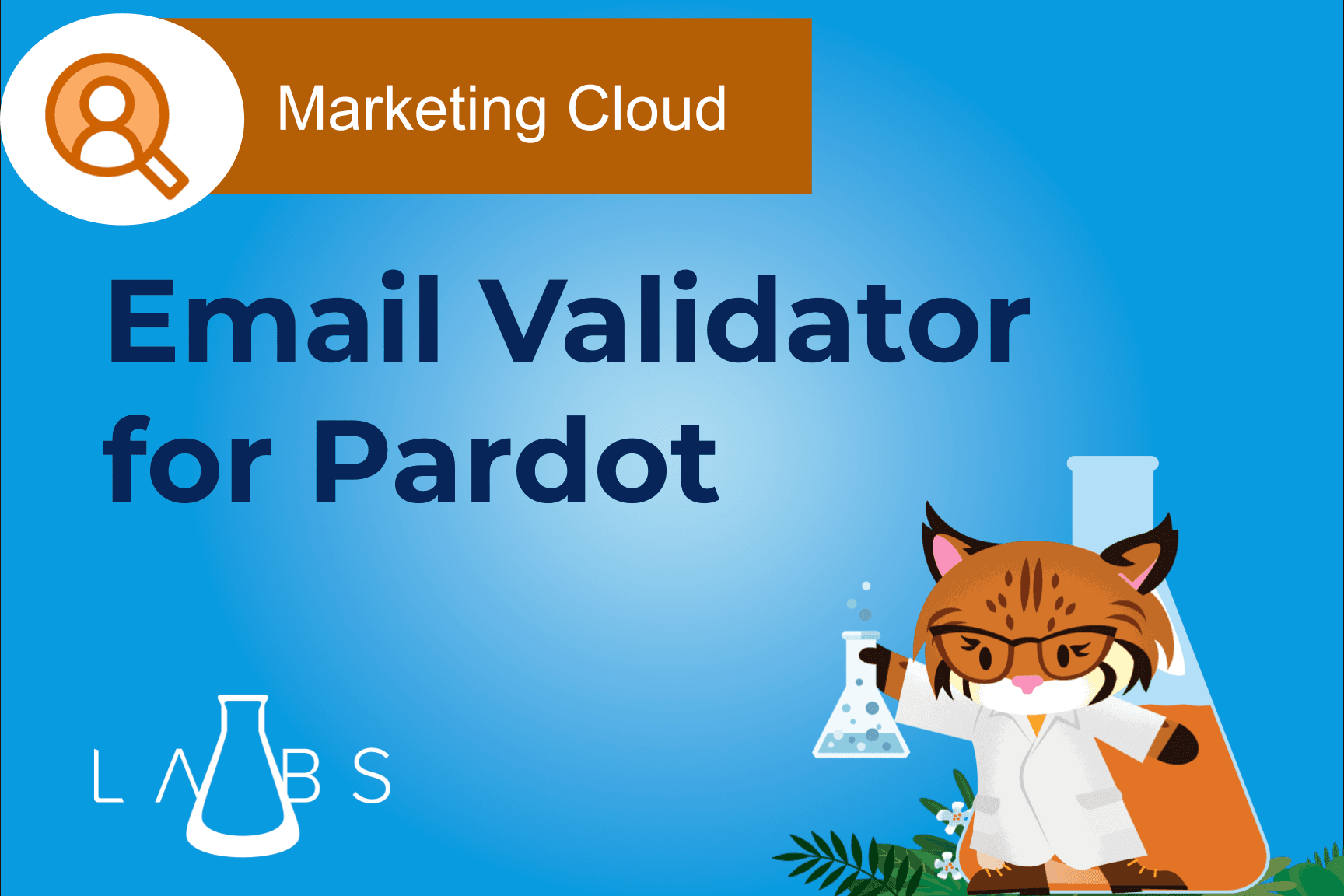 Email Validator for Pardot