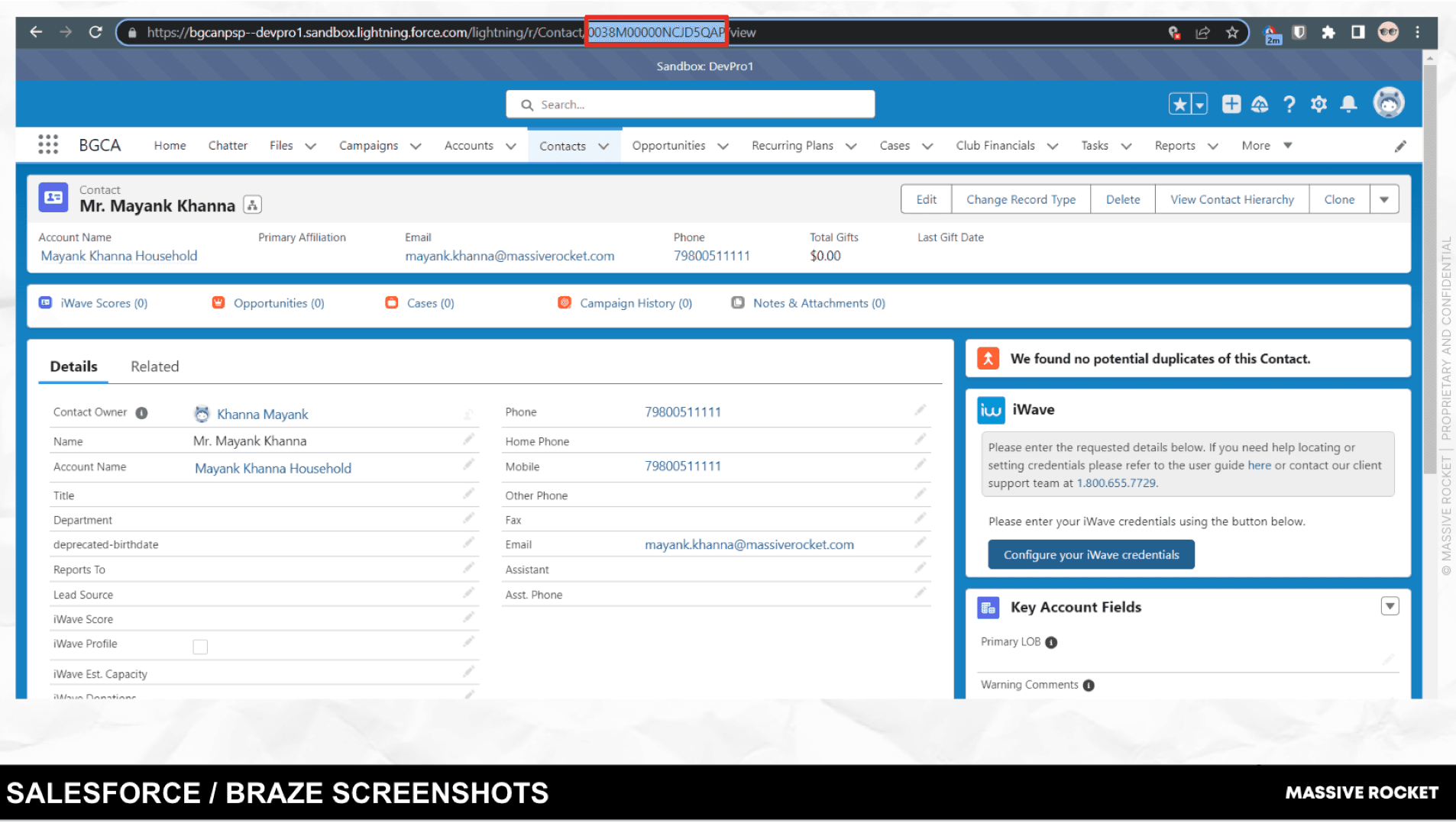 Salesforce interface