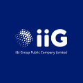 I&I Consulting Group Co. logo