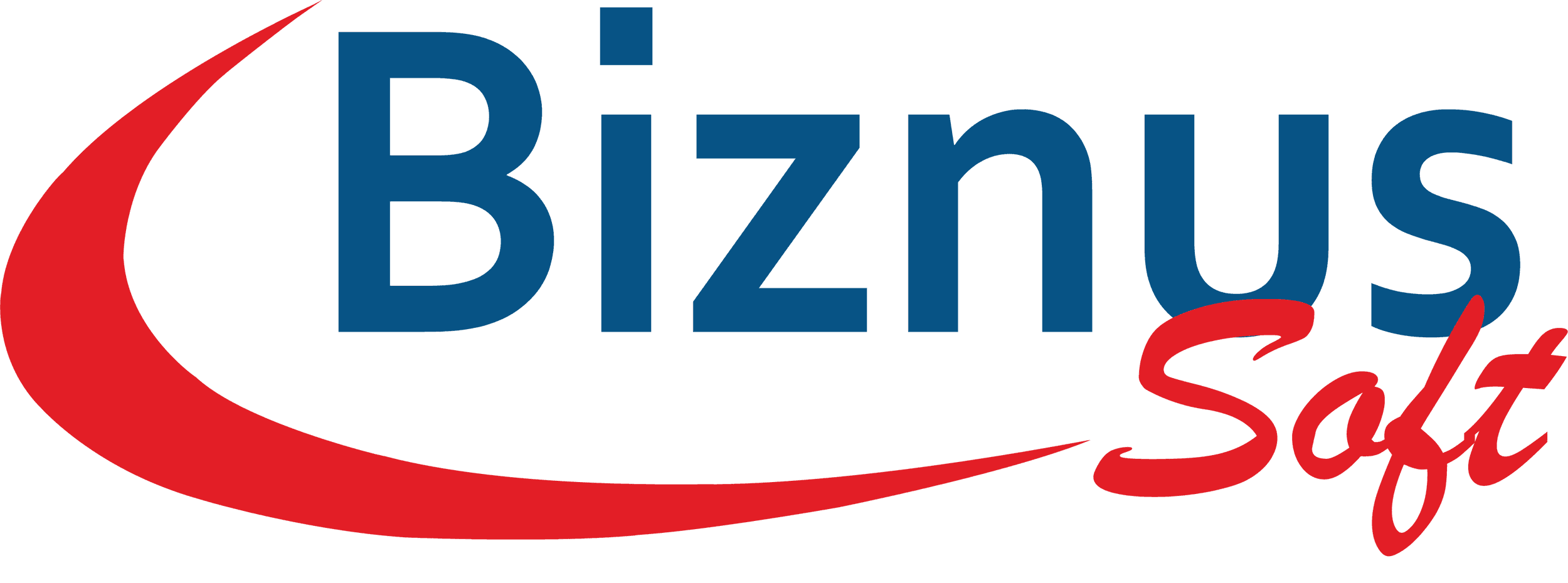 BiznusSoft image 1