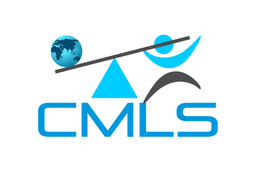 CM Leveraged Solutions logo