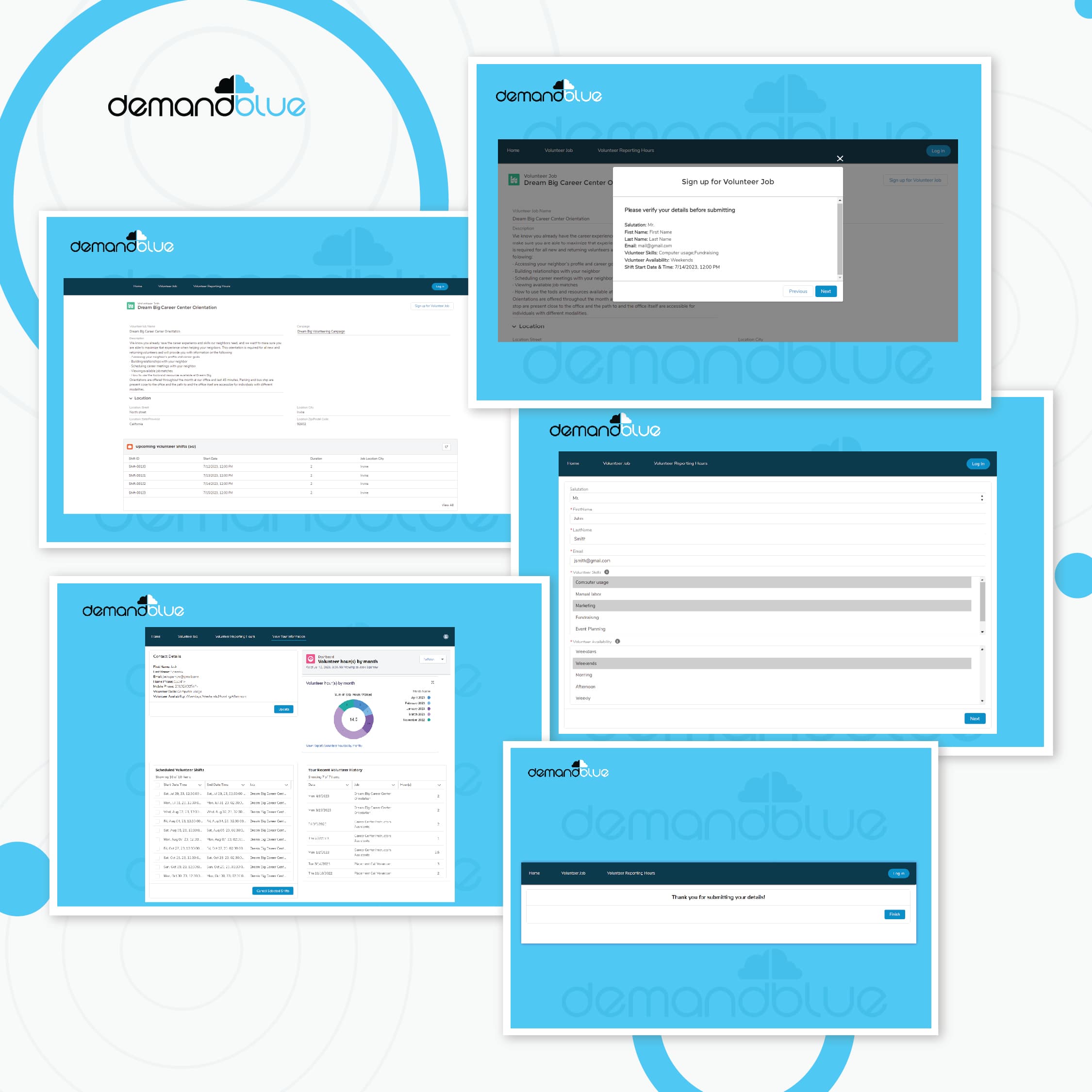 Volunteer Self Service Portal Overview