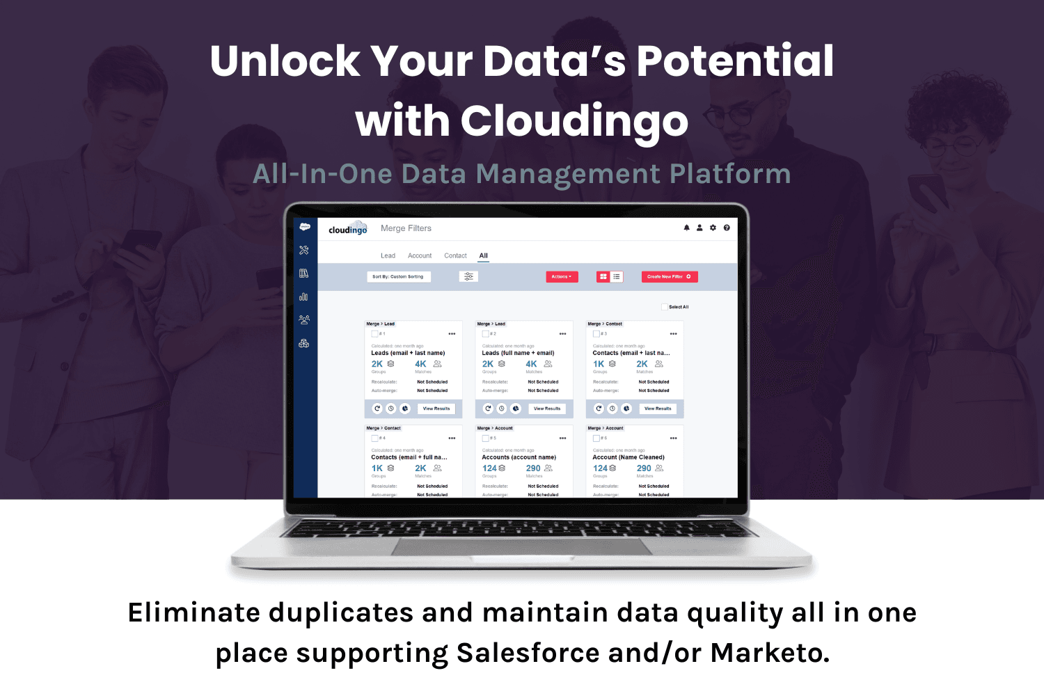 An All-in-One Data Cleansing Tool