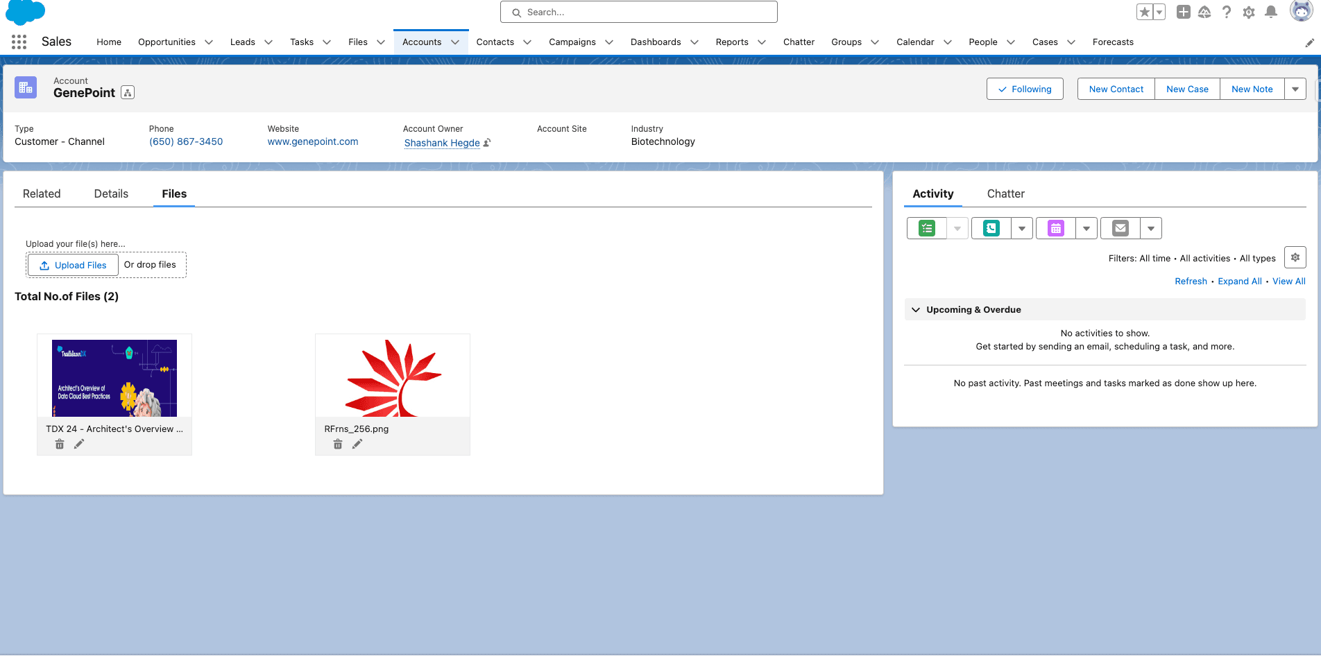 Thumbnail view of files