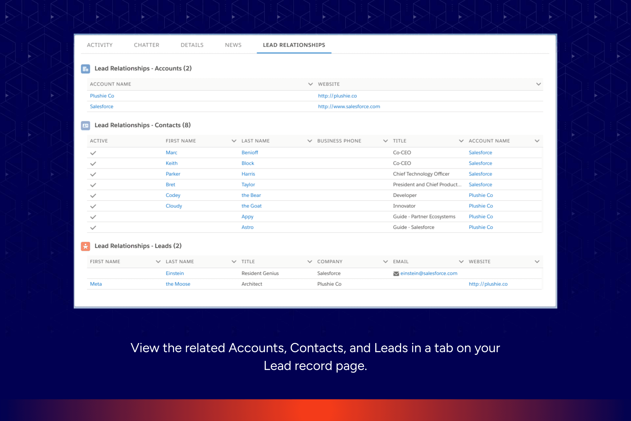 View the related Accounts, Contacts, and Leads in a tab on your Salesforce Lead record page