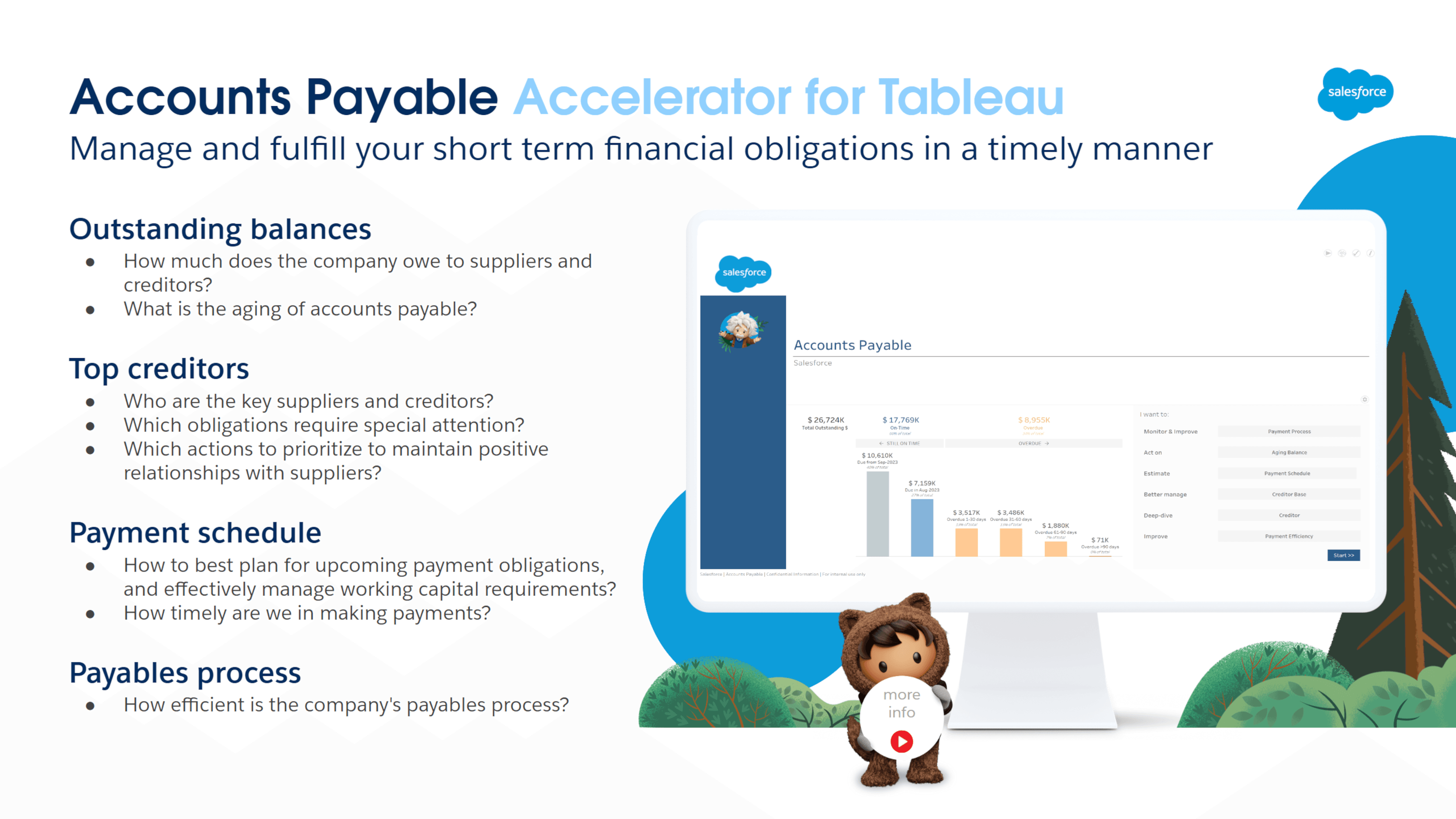 ACCOUNTS PAYABLE screenshot 1