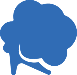 RIDL SOFT logo