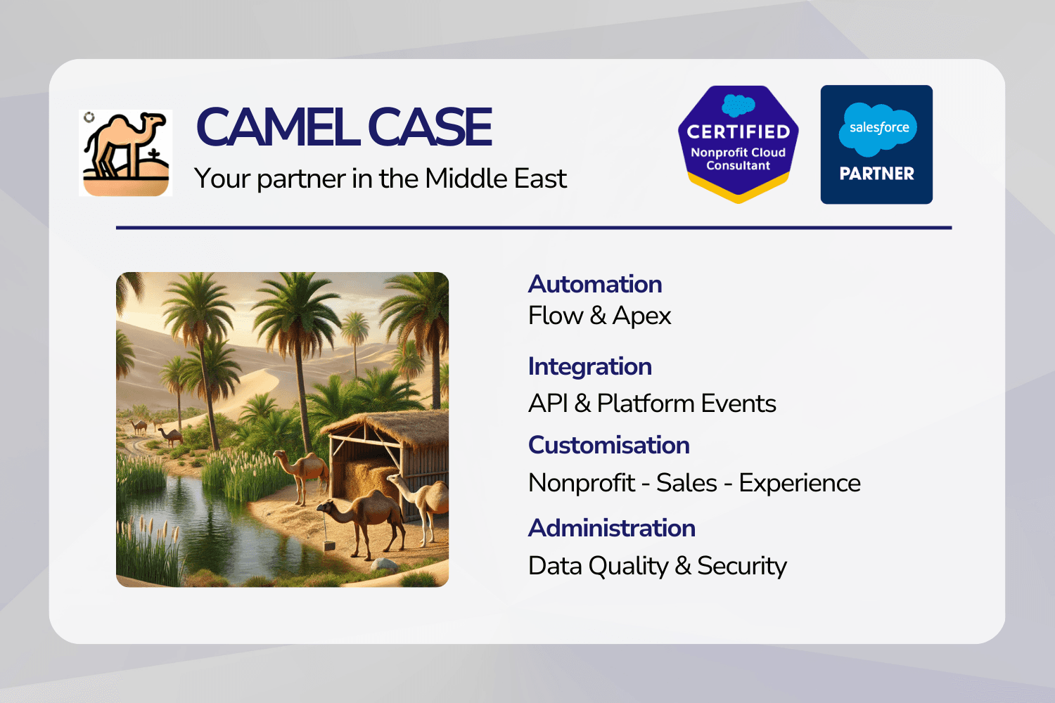 Camel Case FZ- image 1