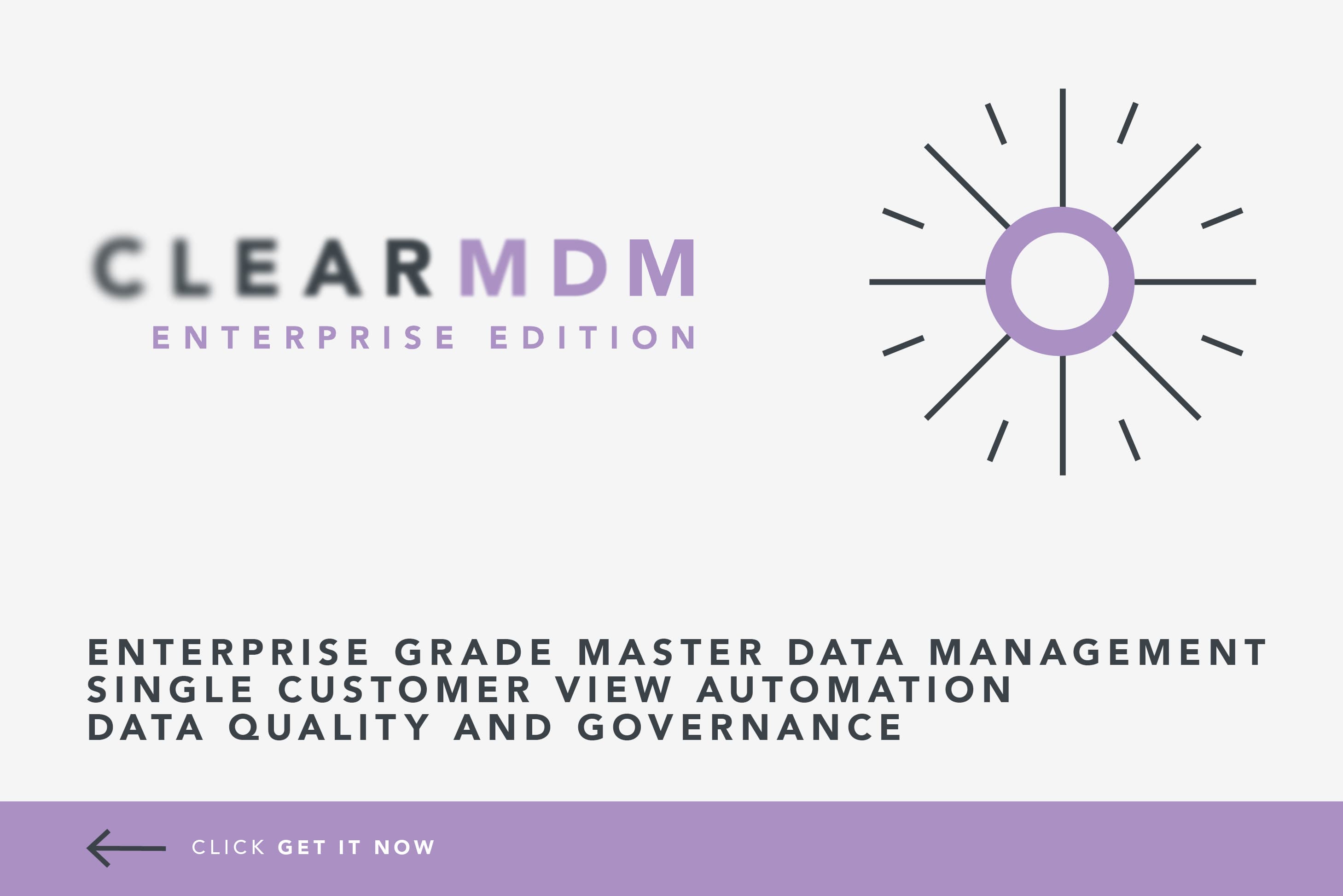 Secure, real-time CLEANSE>MATCH>MERGE>GOVERN>MAINTAIN workflow used by global brands since 2015.