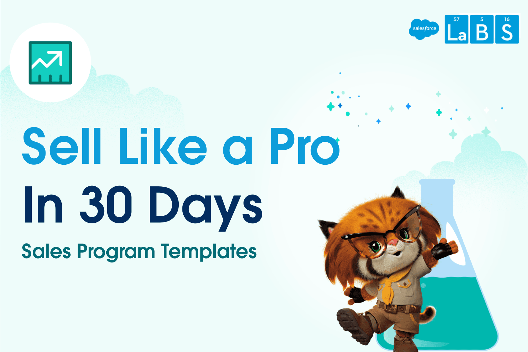 Sell Like a Pro in 30 Days Sales Program Title