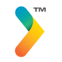 Virtuenix Consulting logo