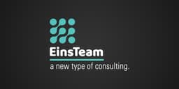 Einsteam logo