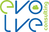 Evolve Consulting LLC logo