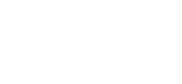 Lev logo