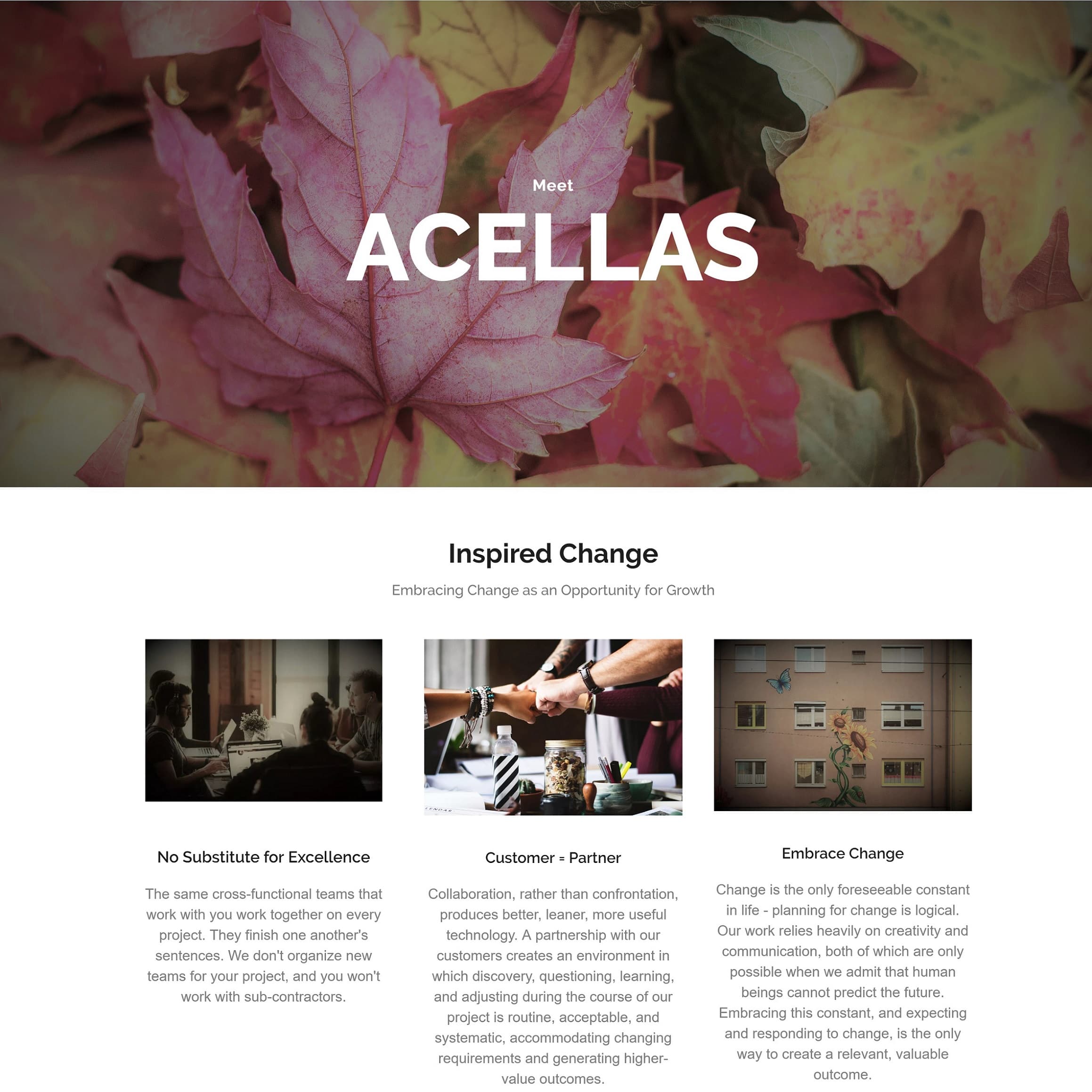 Acellas image 1