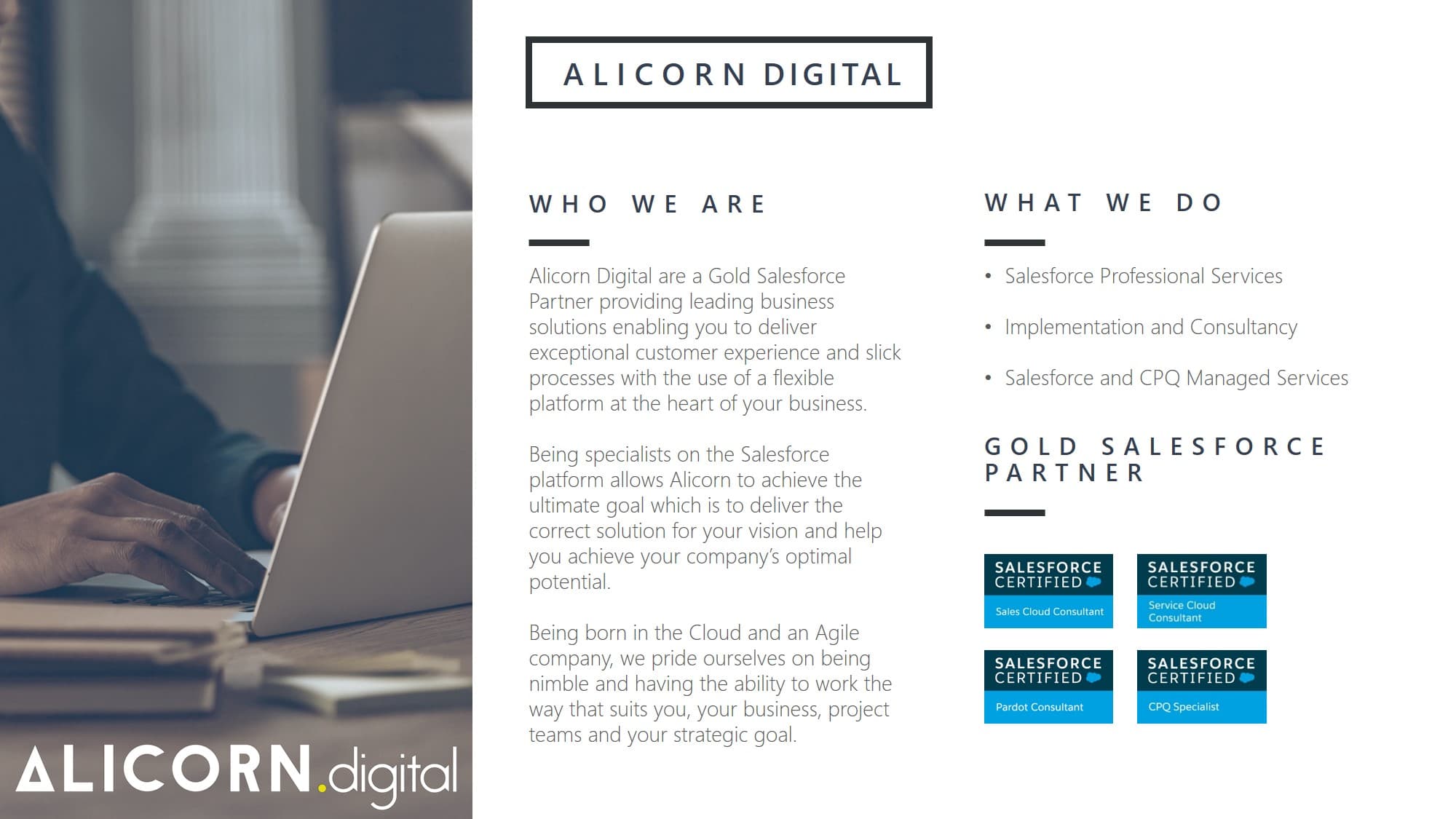 Alicorn Consulting Ltd image 1