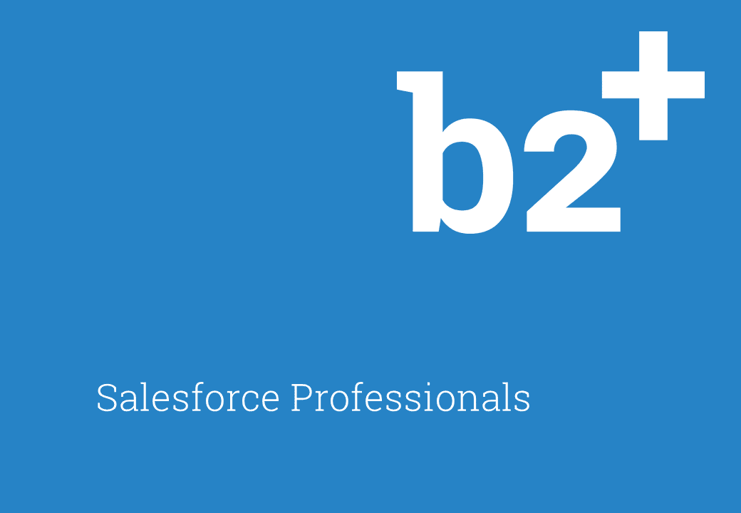 b2plus Consulting GmbH image 1