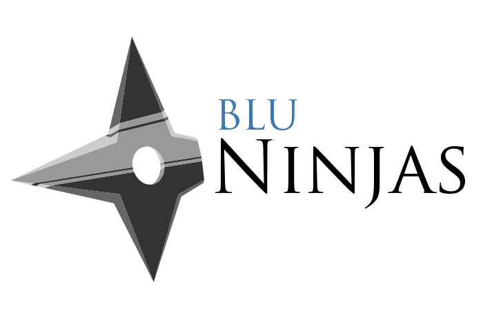 Blu Ninjas image 1