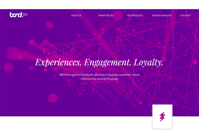 Bond Brand Loyalty image 1