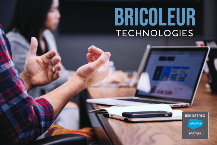 Bricoleur Technologies image 1