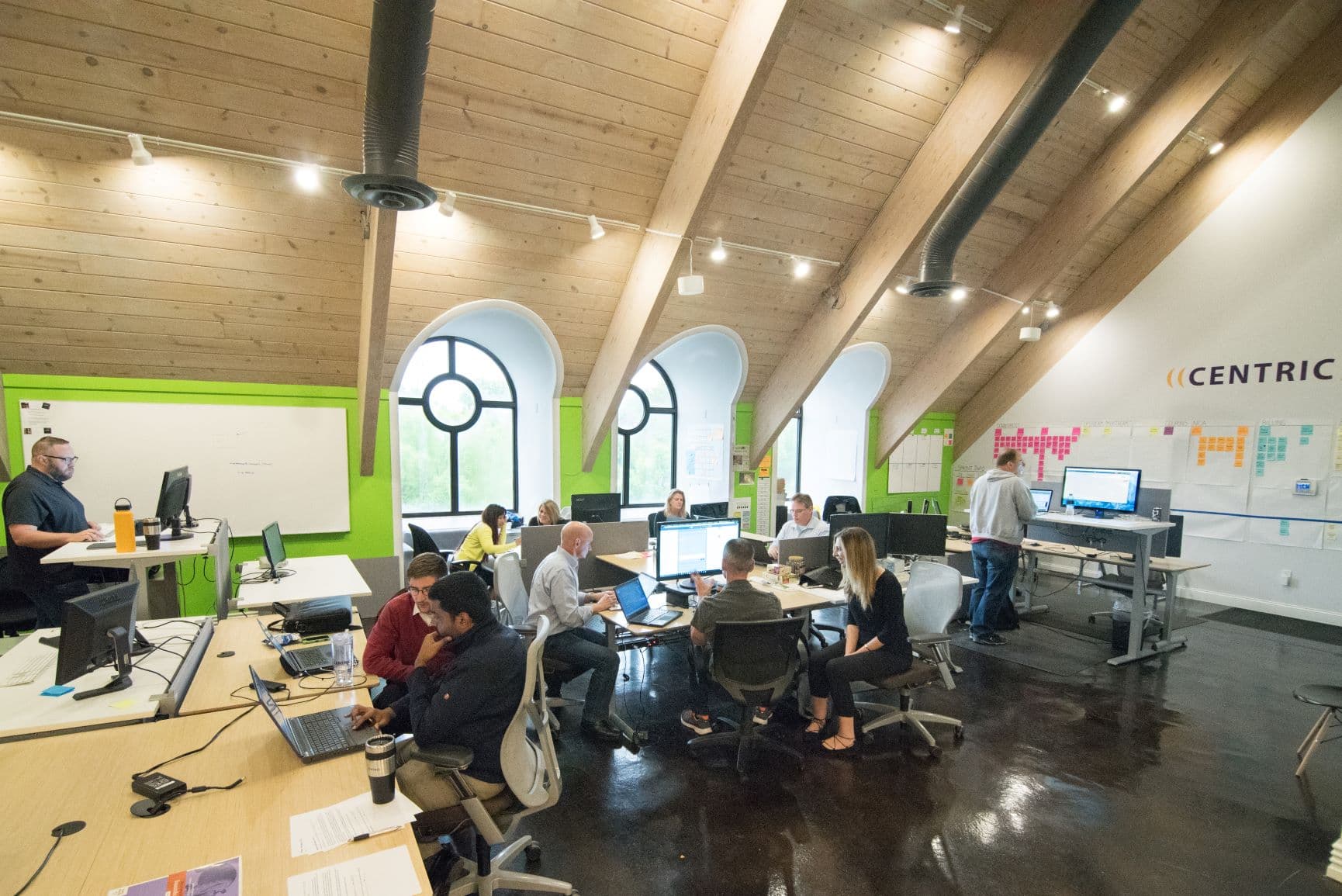 Centric Consulting image 1