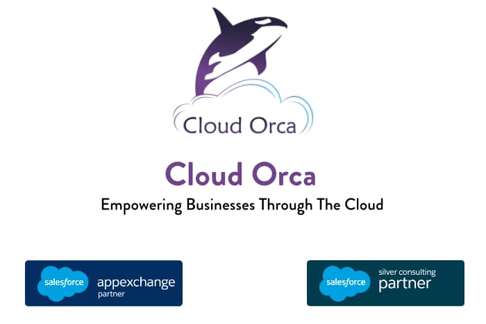 Cloud Orca Limited image 1