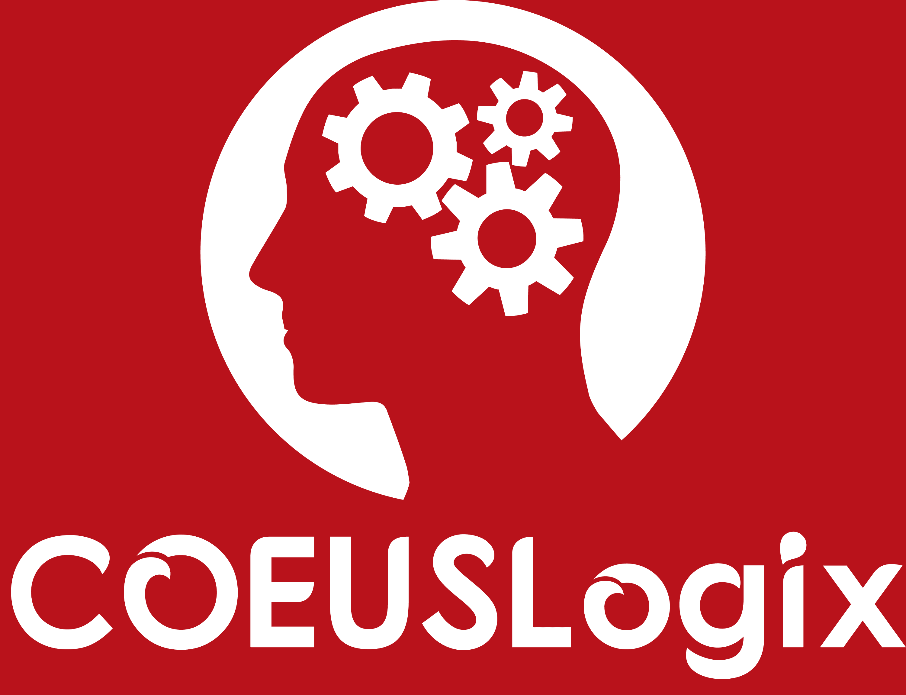 Coeus Logix LLC image 1