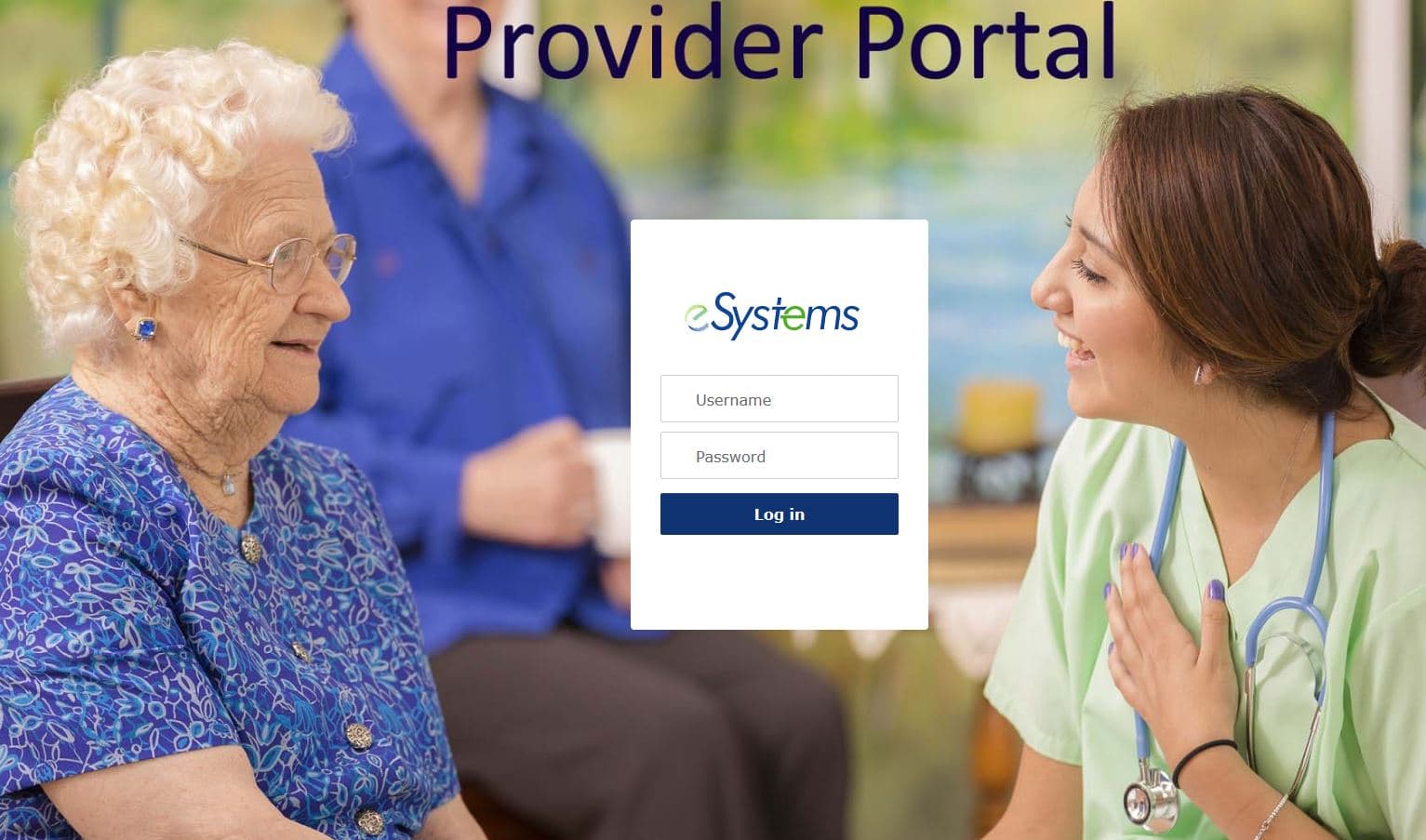 eSystems Public Sector Consulting image 1