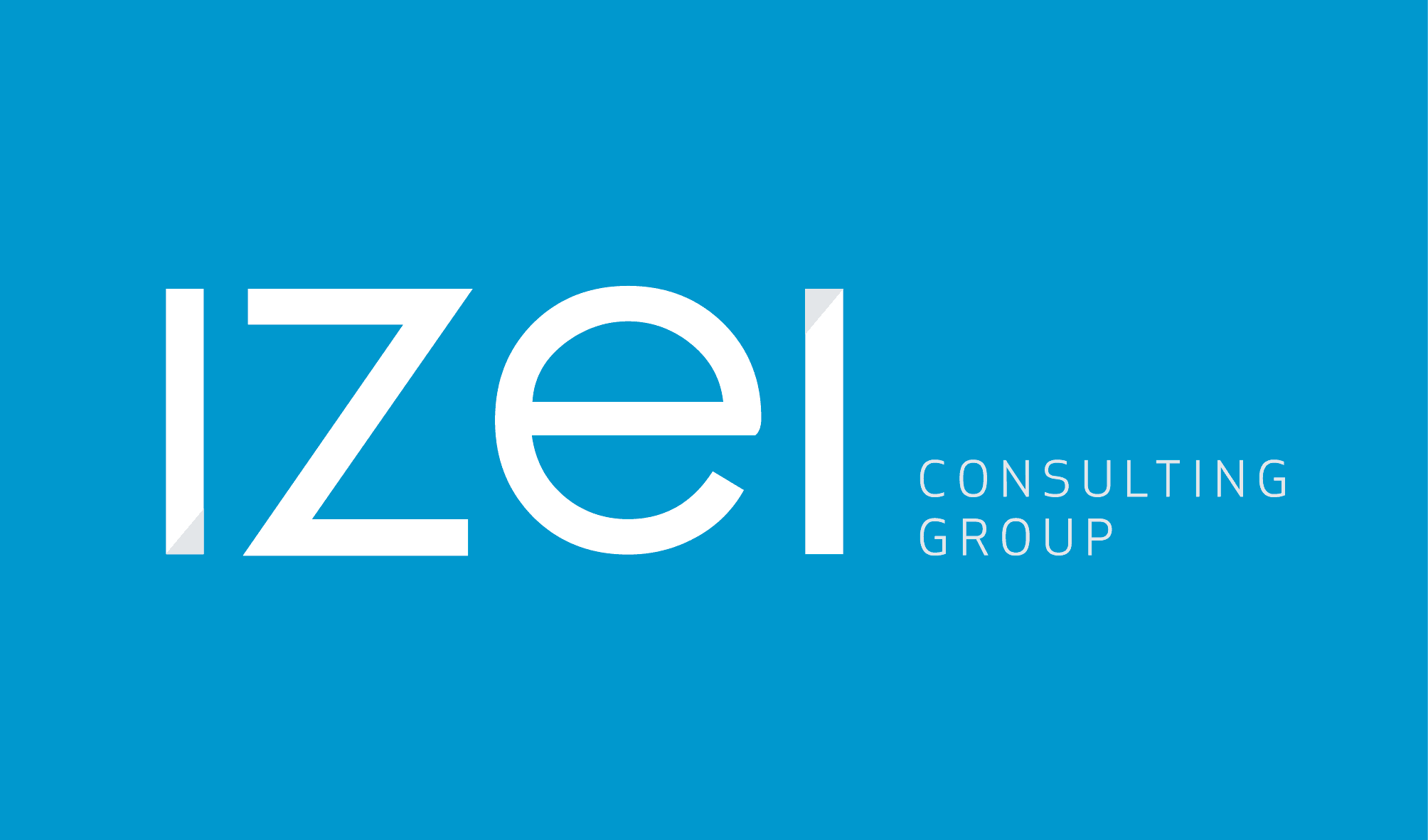 IZEI Consulting Group image 1