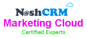 NashCRM image 1