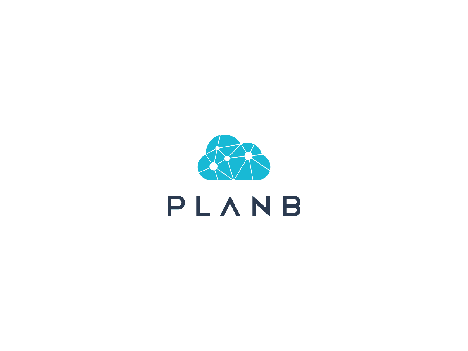 Plan B Commerce Pty Ltd image 1