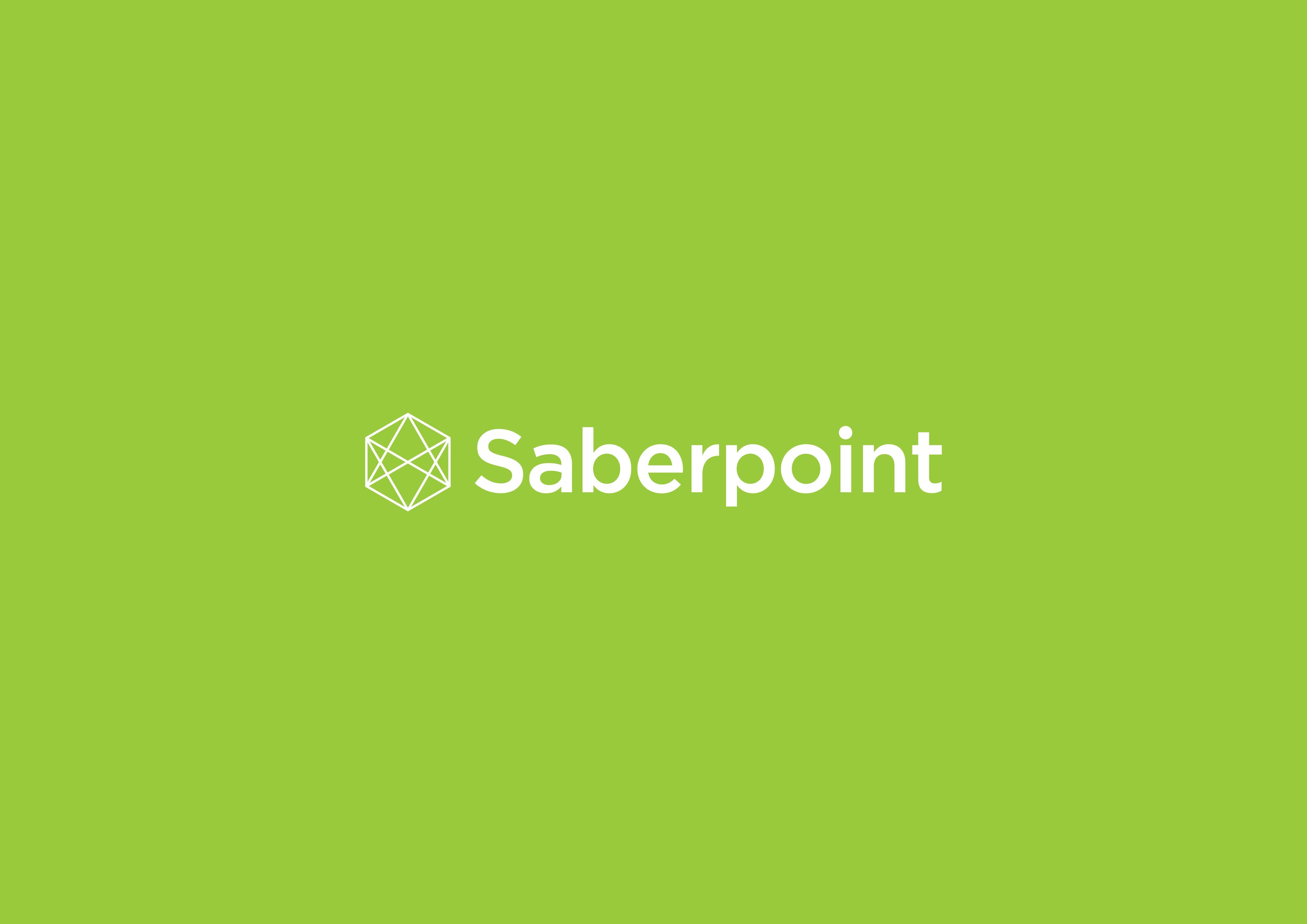 Saberpoint image 1