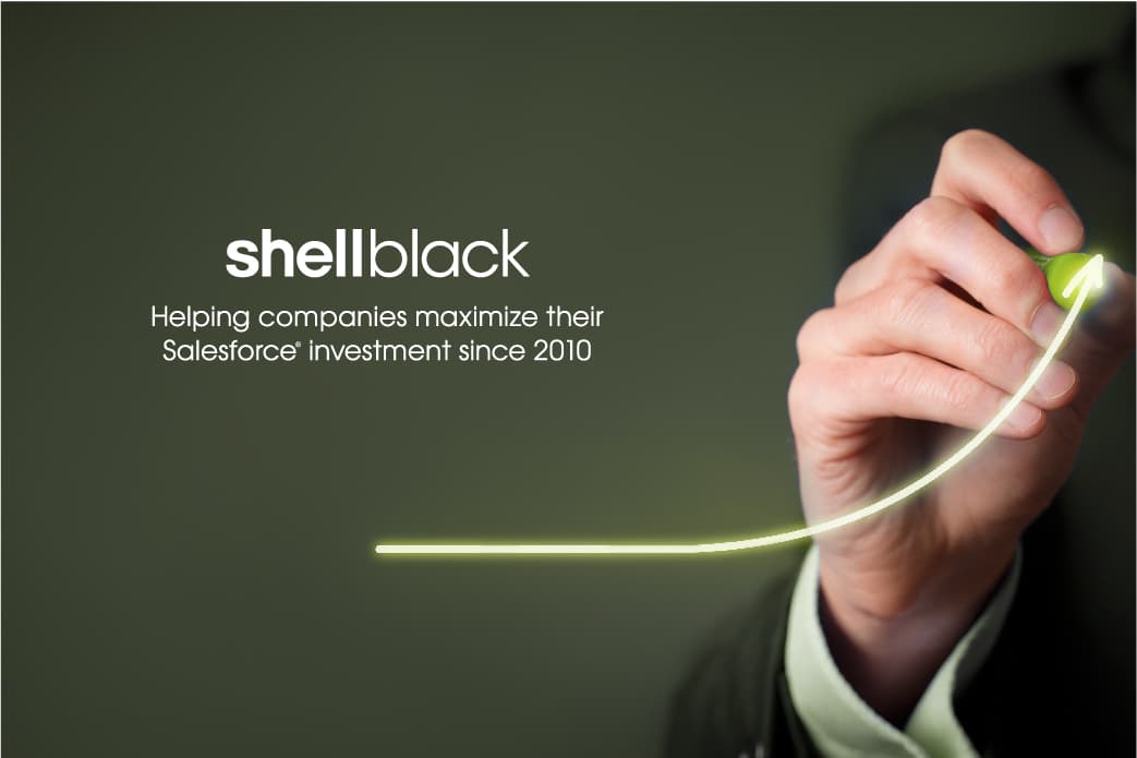 ShellBlack image 1