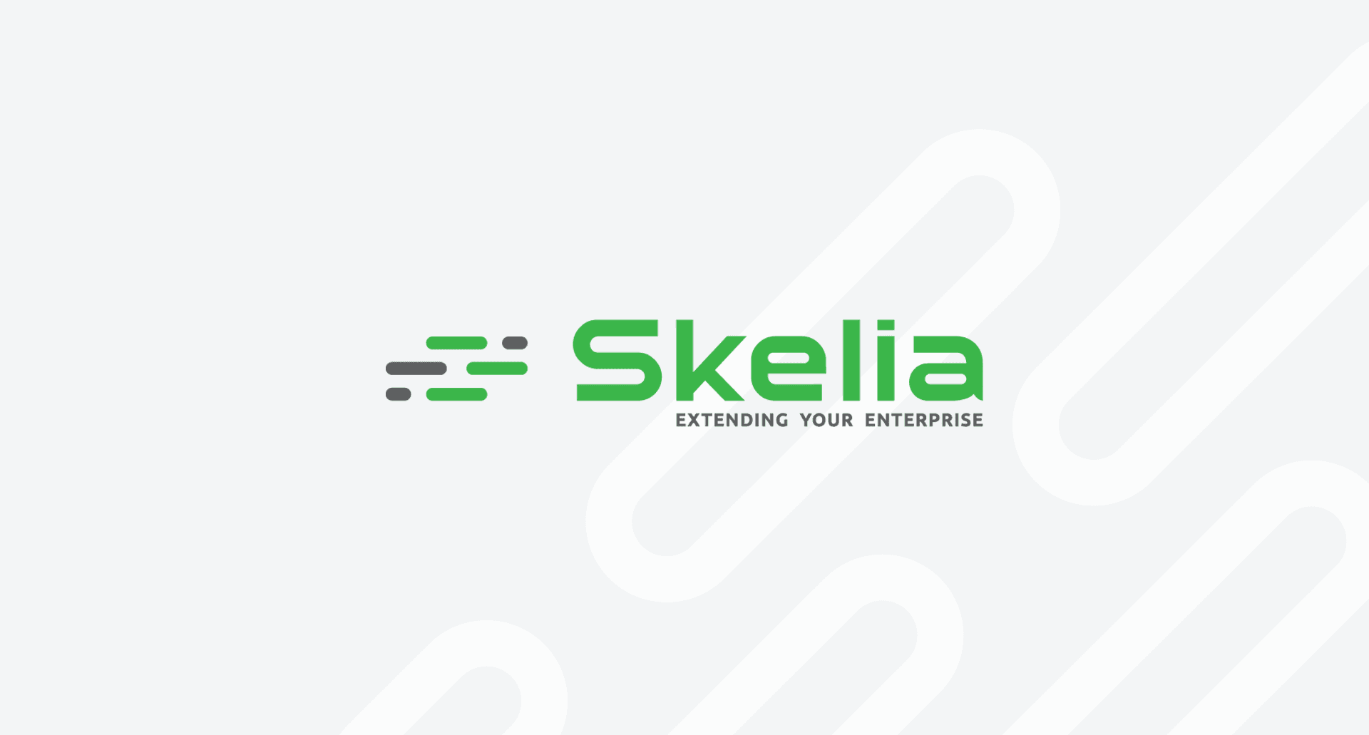 Skelia Ukraine LTD image 1
