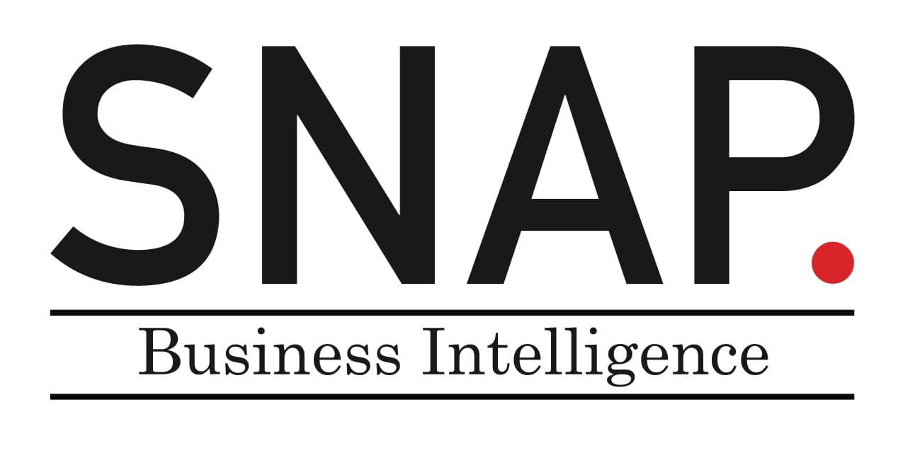 SNAP Business Intelligence image 1