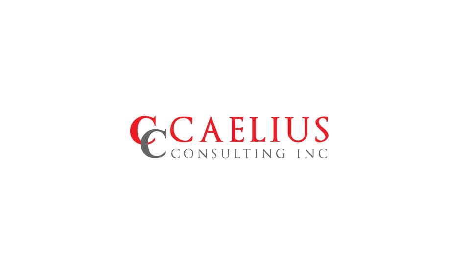 Caelius Consulting image 1