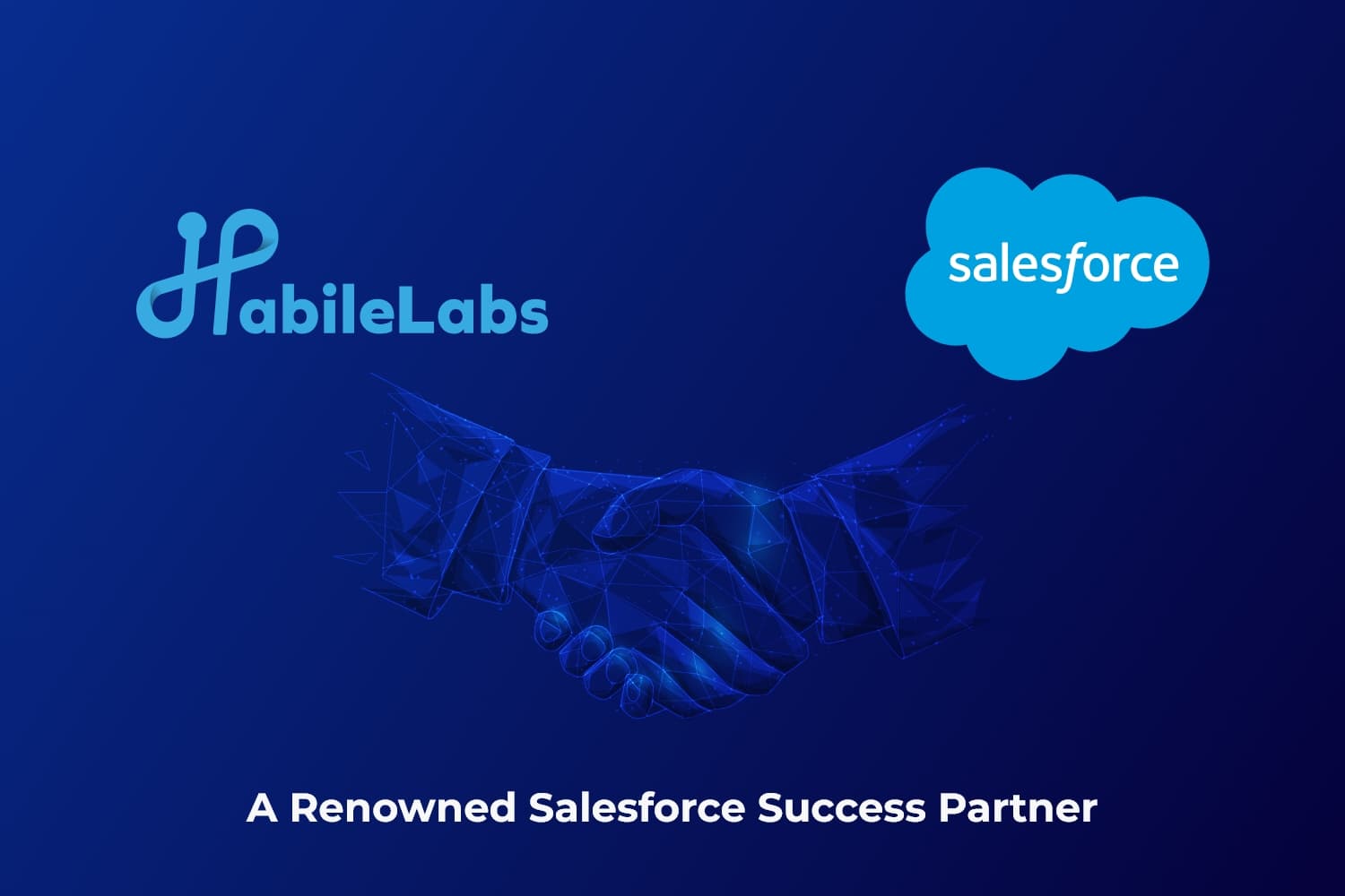 Habilelabs image 1