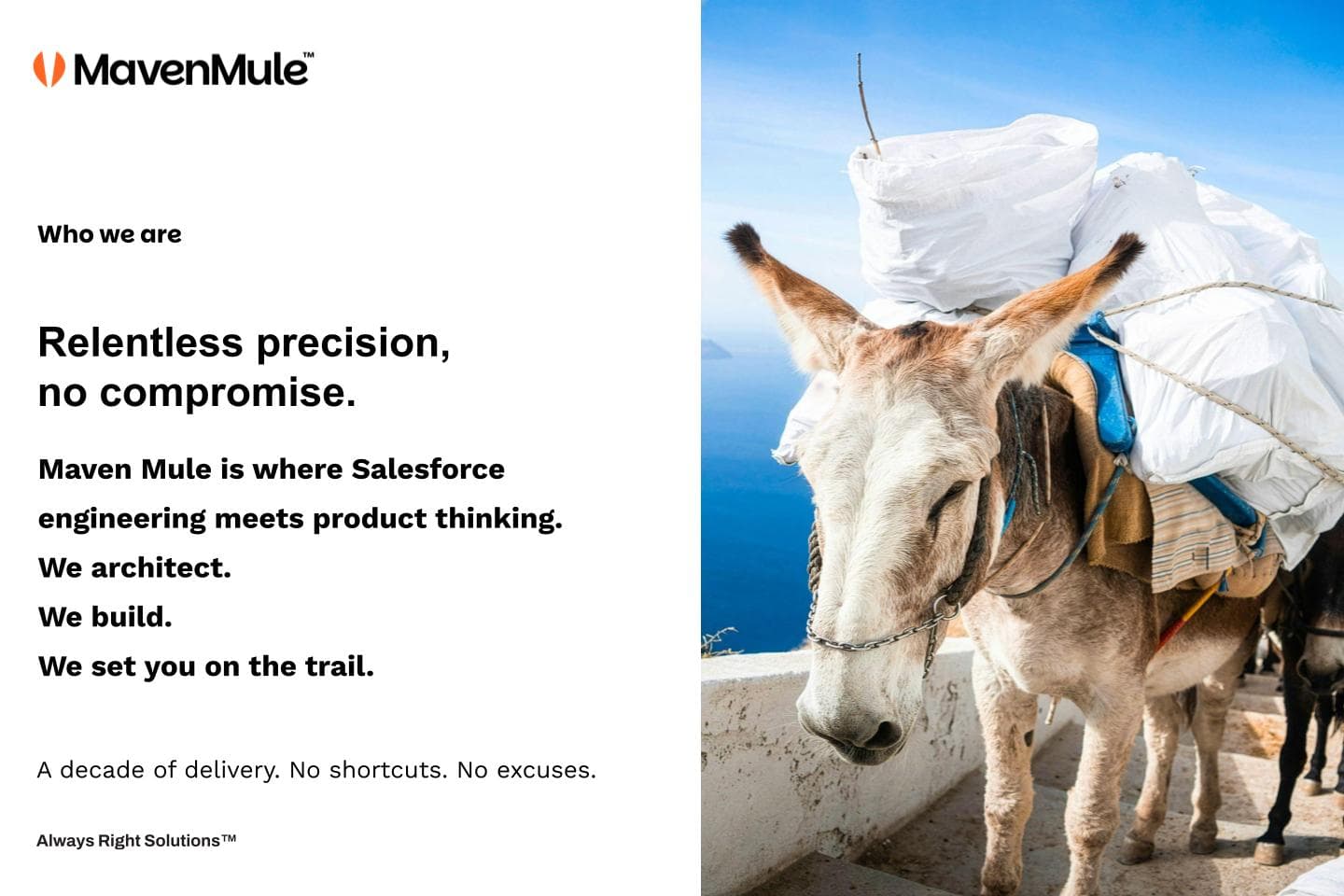 Maven Mule image 1
