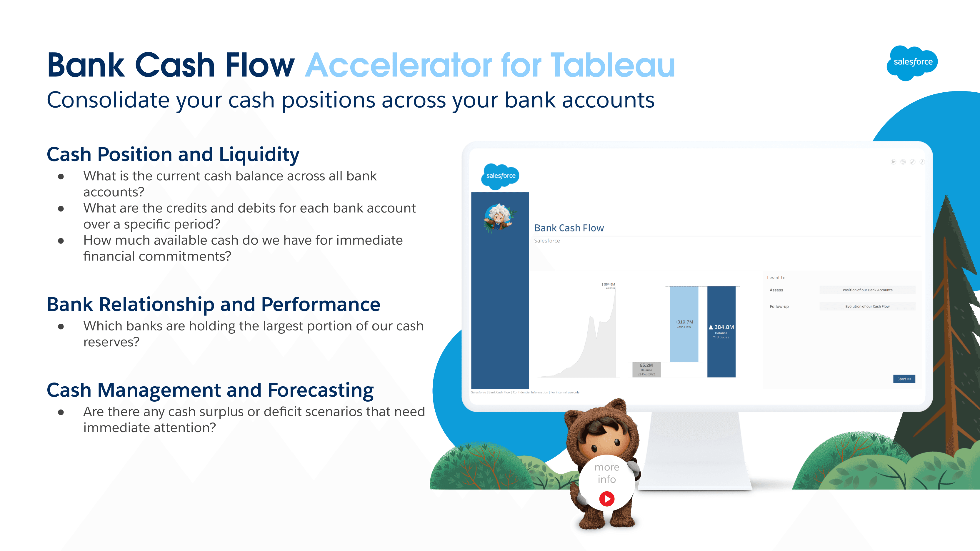 BANK CASH FLOW screenshot 1