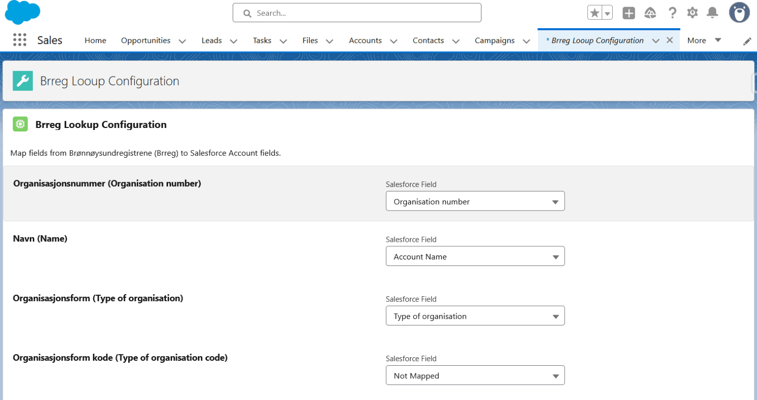 Mapping Brreg fields to Salesforce fields