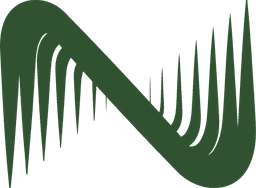 NetStronghold logo