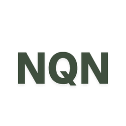 Ngoc Quang Nguyen Consulting logo