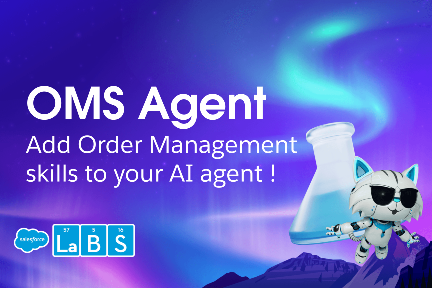 Add Order Management Skills to you AI Agent!