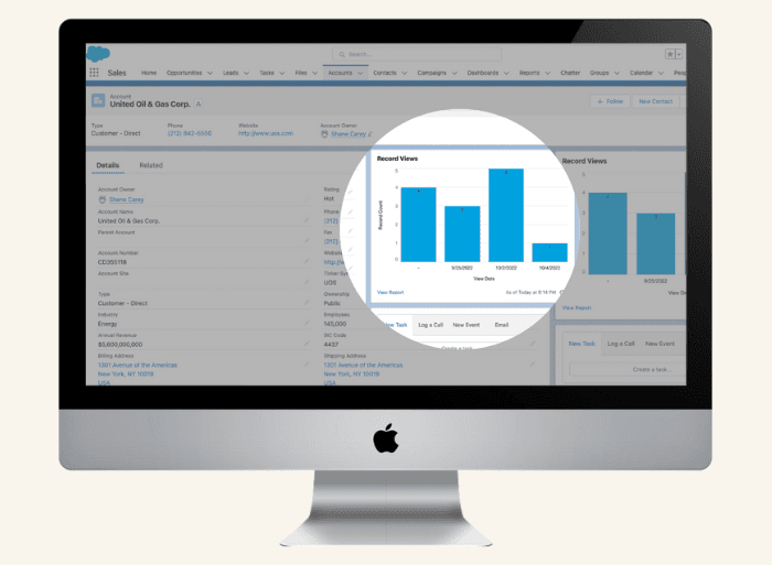 Embed record view reports directly onto the Lightening page for surfaced visibility.