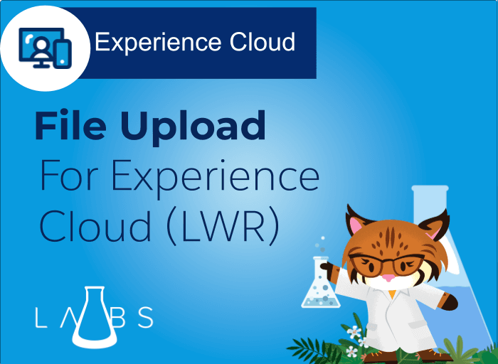 File Upload for Experience Cloud (LWR)